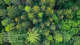 DJI mini 3 pro low light grading sample