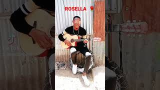 h rt The Band rosella