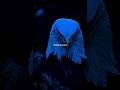 Everything at Once — Lenka | lyrics | aesthetic | English songs | slowed | speed up