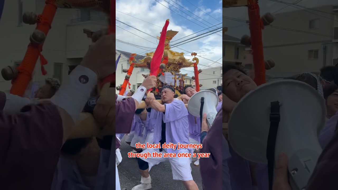 Traditional Festival in Japan "Mikoshi" 