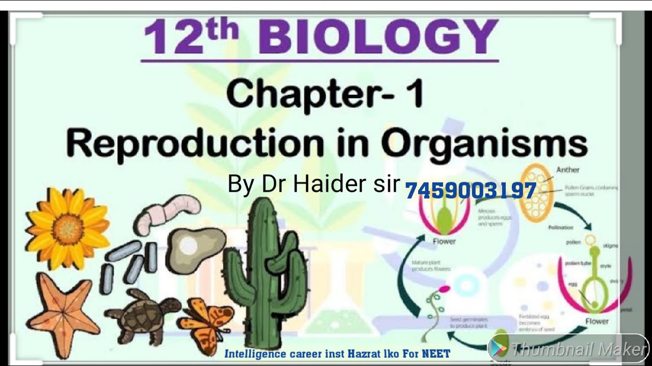 #REVISIONOFReproductioninorganism