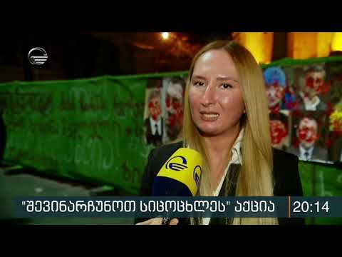 „შევინარჩუნოთ სიცოცხლე“ პარლამენტთან აქციას მართავს