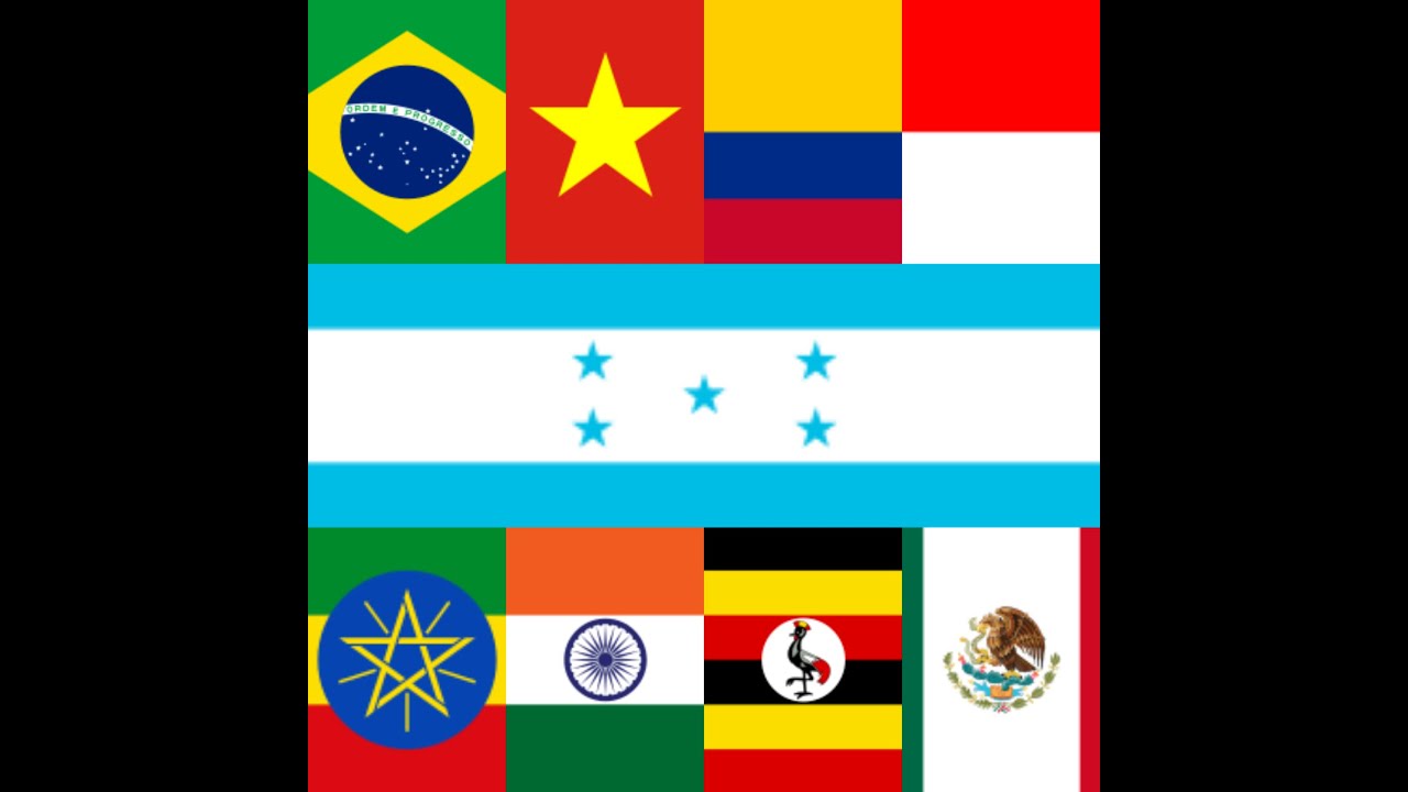 Comparison: 10 Largest Coffee Exporting Countries in the World