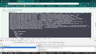 Remote Code execution DOS Infinite loop