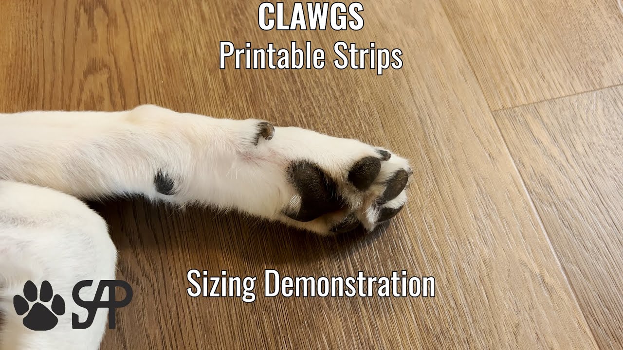 CLAWGS Flexible Measuring Tape Sizing Demonstration 