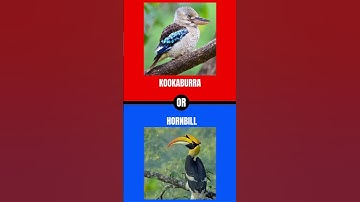 can you decide? comment down below your answers #wouldyourather #challenge #shorts