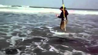 Pêche De Courbine Au Sahara Marocine