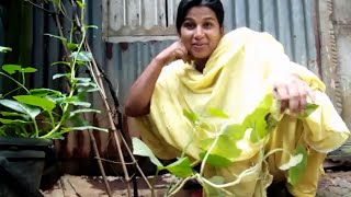 আজ আমর পছনদর একট গন শনব Laboni Vlog Video Laboni Official