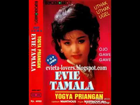 konglomerat evie tamala