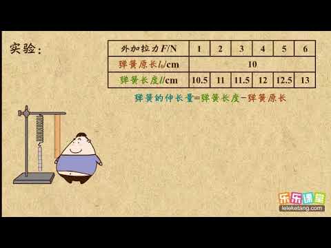 09探究弹簧的形变量与拉力大小的关系  力  中学物理