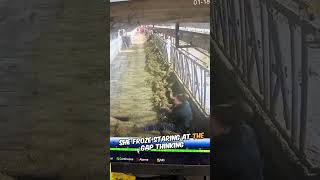 Celebrity They Found the Barn’s Hidden Trap! 😱🤣 #shorts #shortsvideo Net Worth