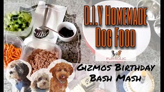 Easy Homemade Dog Food Recipe