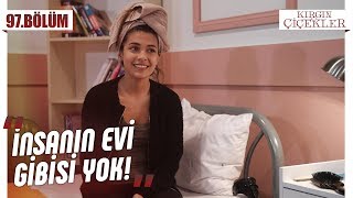 Kırgın Çiçekler’in evi! - Kırgın Çiçekler 97.Bölüm