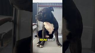 The Beach Walk Betrayal