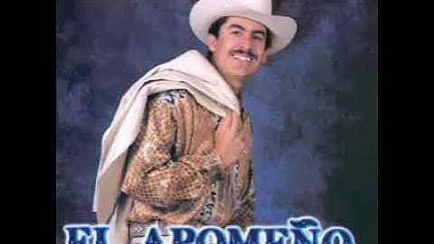 El Apomeño De Sinaloa / Corridos De Los 90's / Disco Completo