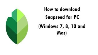 Snapseed on PC - Download for Windows 7, 8, 10 and Mac screenshot 4