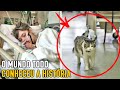 O gato pediu pra entrar no quarto de uma paciente. Minutos depois ela perdeu sua vida