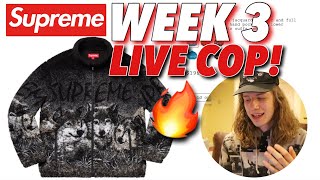 I SUCK AT COPPING! Supreme S/S '19 Week 3 Live Cop!