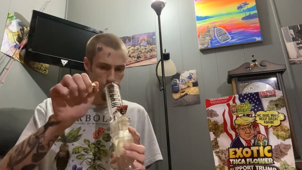 Donald Trump Weed Review - Gelato 41 THCa Flower 