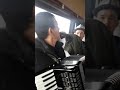 Тынчтык тойдо ездиго 