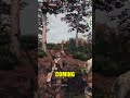This is INSANE