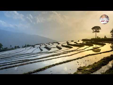 نعمتان مغبون فيهما كثير من الناس ابن عثيمين رحمه الل ه مختارات من شرح رياض الصالحين