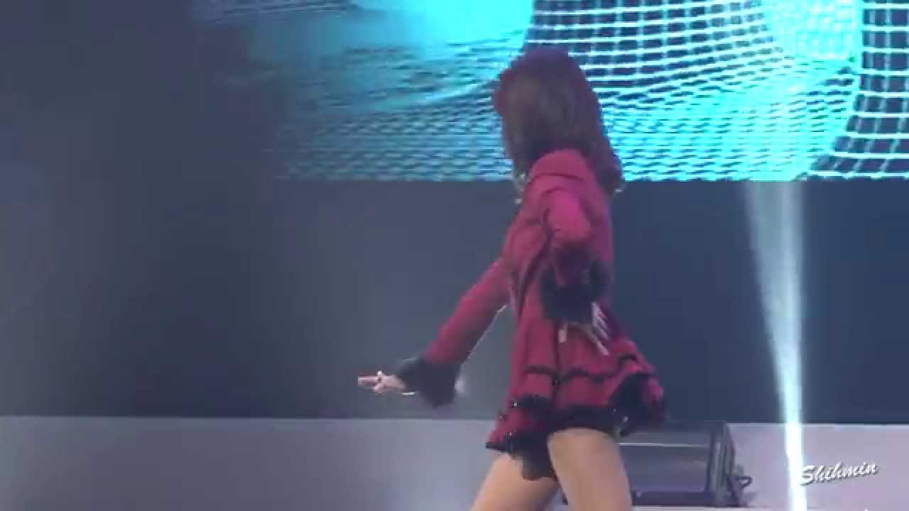 [fancam/직캠] 141225 T-ARA/티아라 - Day By Day (Boram focus/보람 초점) # Dear My Family Concert