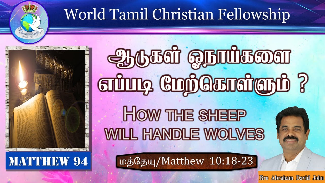 How the sheep will handle wolves