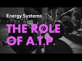 Understanding ATP and Its Role in Exercise
