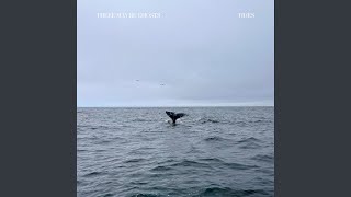 LOVERS//FRIENDS (feat. Sara Van Hecke) - There May Be Ghosts