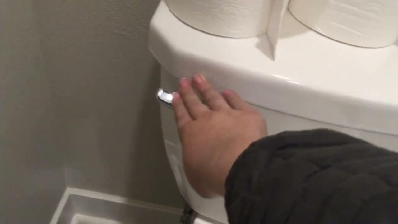 How To Flush A Toilet YouTube