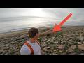 How Close Is Too Close To A Wild Bison??