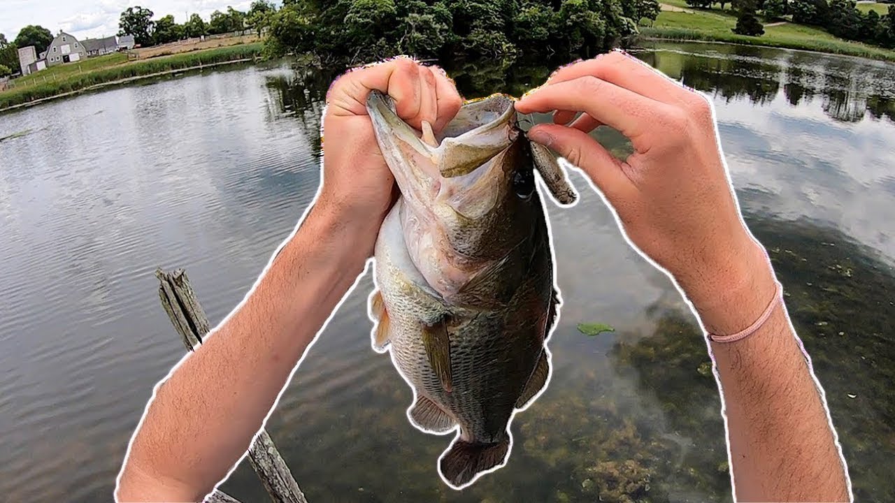 Ultralight Largemouth - On The Water