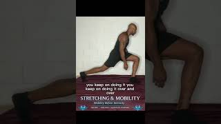 Warrior Stretch Reset | Mobility • Balance • Recovery #auralis #mentalstrength