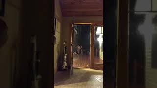 Woman Slips And Falls While Running With Friends In Rain - 1048245