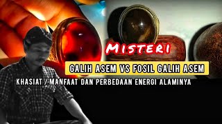 The Mystery & Efficacy / Benefits of Galih Asem vs. Fossil Galih Asem. The Difference