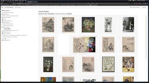 Using Reed Digital Collections Tutorial
