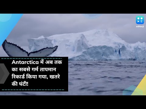 वीडियो: अंटार्कटिका में सबसे गर्म महीना। अंटार्कटिका में मासिक तापमान