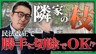 【10分で解説】隣地から伸びてきた枝は、勝手に切ってもOKに!? 民法改正でルールはどう変わった？