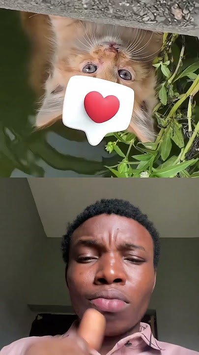 😳😳 #youtubeshorts #trending #shorts #viralvideo #duet #reaction