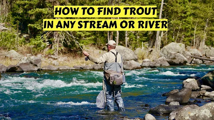 How to Find Trout in Rivers & Streams Anywhere