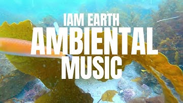 2023 Ambiental Music🎶Reversed Beginning - Luwaks 🎥 4K Footage | #ambientmusic #luwaks #relaxmusic