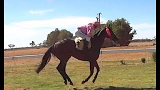 ▶️ Horse Galloping Sound Effect. Horse Ambience. Horse Running Sounds. 12 Hours. 🌏