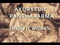 Ayurveda and Panchakarma - How it Works (2/5)
