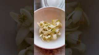 How To Brew Orange Blossom Tea