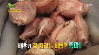 2TV 생생정보-농부를 키운다 도시농부학교.20180906
