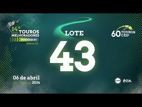 LOTE 43 V9014122 - 14º Leilão de Touros Melhoradores Nelore OL - Edição Virtual