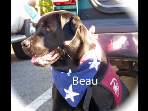 Canine Support Teams 3c - Holidays.wmv