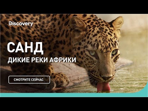 Река Санд | Дикие реки Африки | Discovery