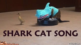 SHARK CAT SONG. What Does the #SharkCat Say? | Texas Girly 1979